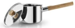 Eva Solo Steelpan Nordic Kitchen RVS - ø 16 Cm / 2.0 Liter -Keuken Kwaliteitswinkel 281220 Saucepan 20l 16cm 2 HIGH