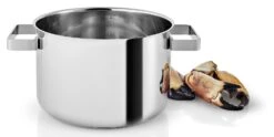 Eva Solo Kookpan Nordic Kitchen RVS - ø 20 Cm / 4 Liter -Keuken Kwaliteitswinkel 281240 Nordic Kitchen Pot 4l 20cm regi HIGH