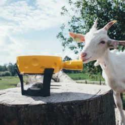 Boska Fondueset Cheesy - 6 Personen - Geel/zwart - 1.3 Liter -Keuken Kwaliteitswinkel 853512 BOSKAFondueSetSuperCheesy 2 2400x