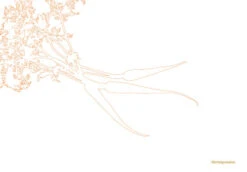 Kookboek - Plenty More -Keuken Kwaliteitswinkel 9789059565388 03