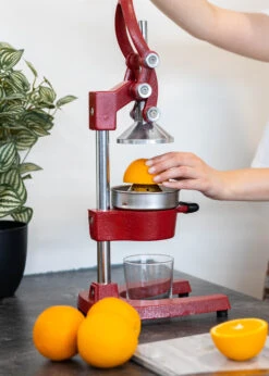 Sareva Citruspers - Gietijzer - Hevelmodel - Rood 11 Sareva Citruspers - Gietijzer - Hevelmodel - Rood -Keuken Kwaliteitswinkel Citruspers 5 1