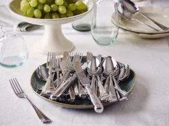 Keltum Haags Lofje (edelstaal) Taartschep -Keuken Kwaliteitswinkel Haags Lofje 3 e820