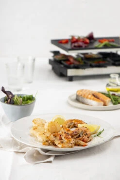 Fritel Gourmetstel RG 4180 -Keuken Kwaliteitswinkel RG 4180 Raclette Grill 142170 06