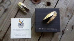 Anovi Mosselbestek 2-delig -Keuken Kwaliteitswinkel anovi mosselbestek