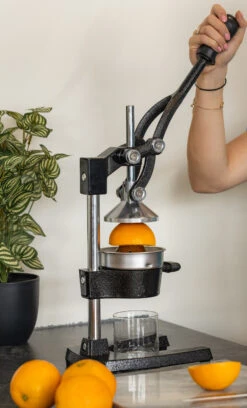 Sareva Citruspers - Gietijzer - Hevelmodel - Zwart 11 Sareva Citruspers - Gietijzer - Hevelmodel - Zwart -Keuken Kwaliteitswinkel citruspers 4 1