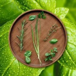 ASA Selection Pizzabord / Onderbord Wood ø 30 Cm 8 ASA Selection Pizzabord / Onderbord Wood ø 30 Cm -Keuken Kwaliteitswinkel grande wood holzteller kraeuter 2 2