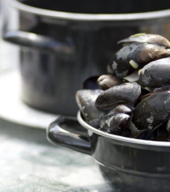 Cosy & Trendy Mosselpan - Oranje - ø 18 Cm / 2.8 Liter 10 Cosy & Trendy Mosselpan - Oranje - ø 18 Cm / 2.8 Liter -Keuken Kwaliteitswinkel mosselpan 4