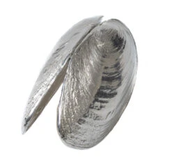 Anovi Mosselschep -Keuken Kwaliteitswinkel product 5 3