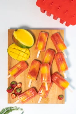 Sareva IJsjesmaker - 10 Ijsjes - Rood - Siliconen - Easy Release - Herbruikbaar -Keuken Kwaliteitswinkel sareva ijsjesmaker 1