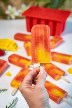 Sareva IJsjesmaker Voor 10 Ijsjes - Rood - Siliconen + 150 Houten IJsstokjes 5 Sareva IJsjesmaker Voor 10 Ijsjes - Rood - Siliconen + 150 Houten IJsstokjes -Keuken Kwaliteitswinkel sareva ijsjesmaker 2