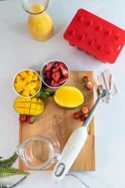 Sareva IJsjesmaker - 10 Ijsjes - Rood - Siliconen - Easy Release - Herbruikbaar -Keuken Kwaliteitswinkel sareva ijsjesvorm